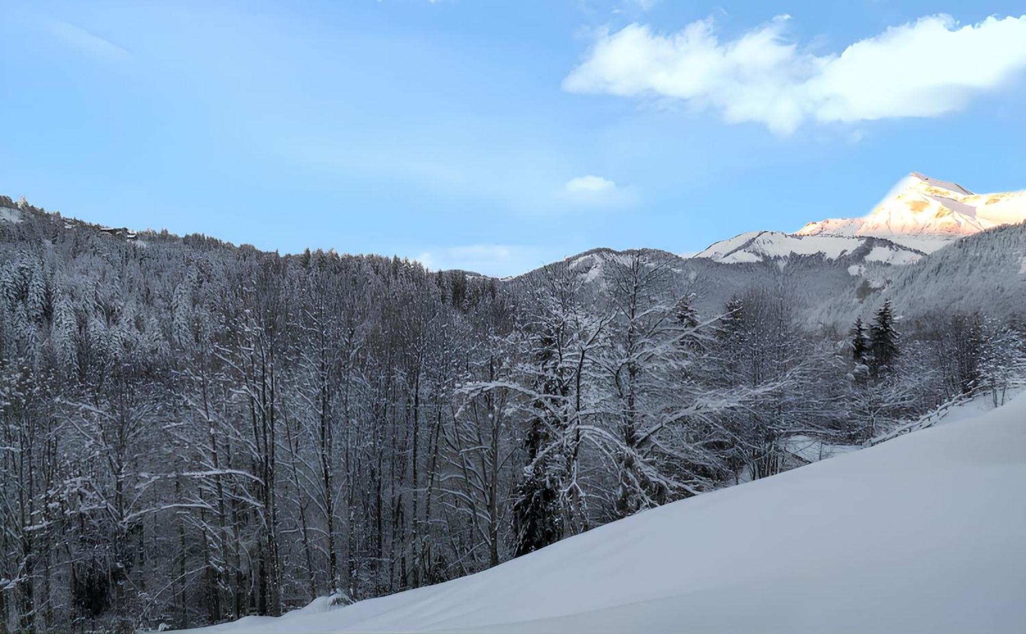 Appartement Confortable Avec Vue Sur La Montagne Notre-Dame-de-Bellecombe Dış mekan fotoğraf